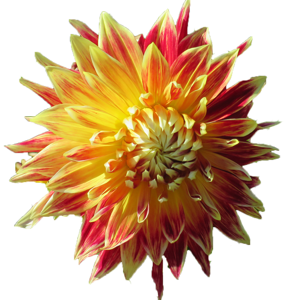 Placeholder image