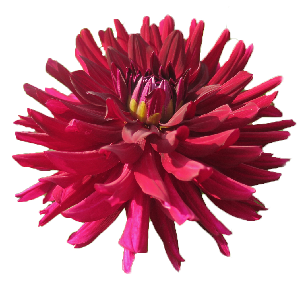 Placeholder image