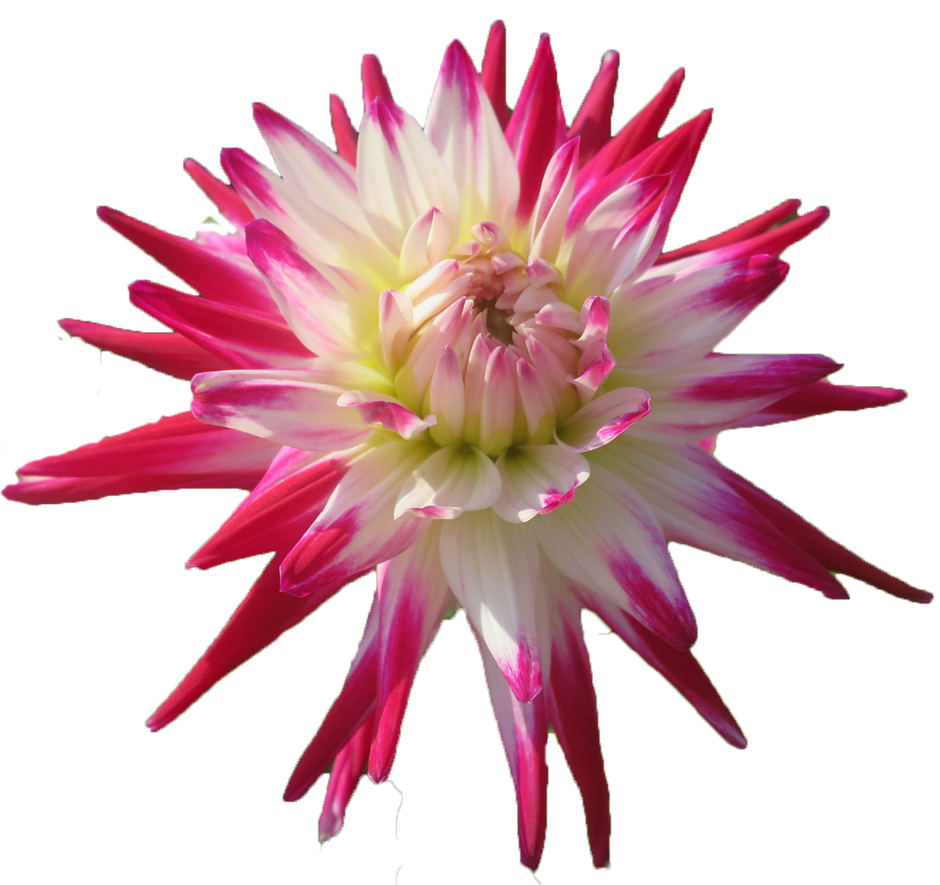 Placeholder image