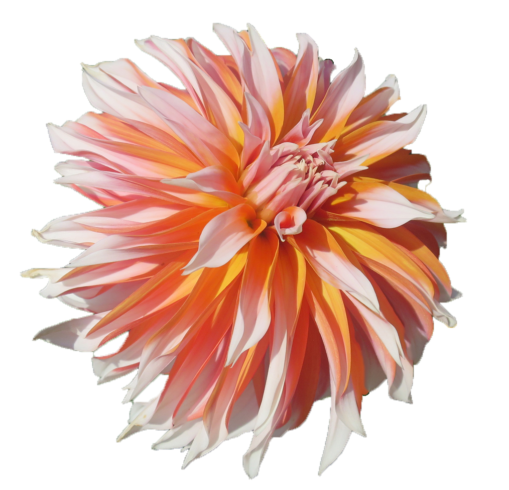 Placeholder image