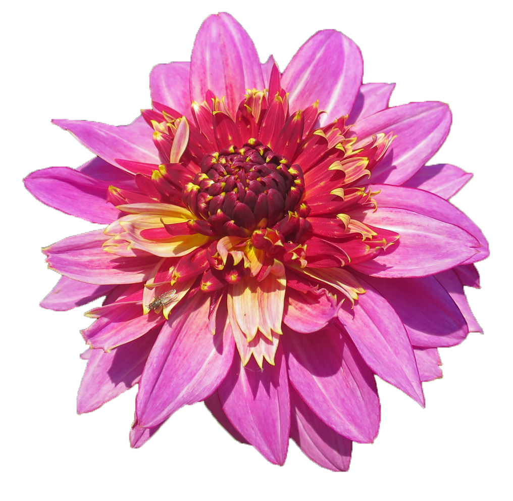 Placeholder image